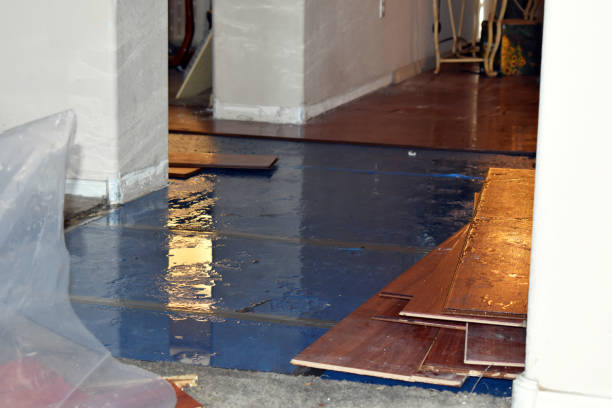 Professional Water Damage Restoration technician working in Thorp, WA